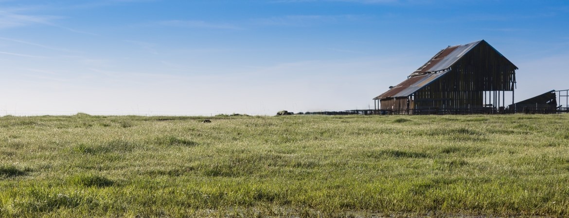 Grassy Barn Landscape