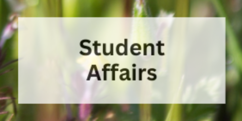 Student Affairs
